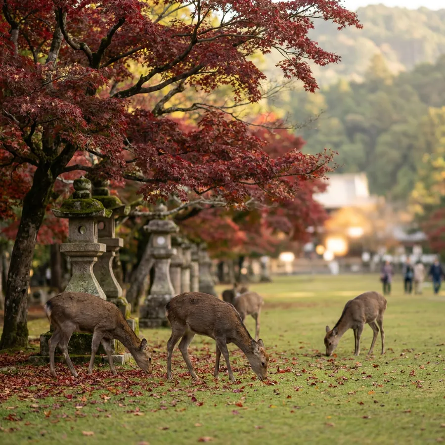 I cervi di Nara