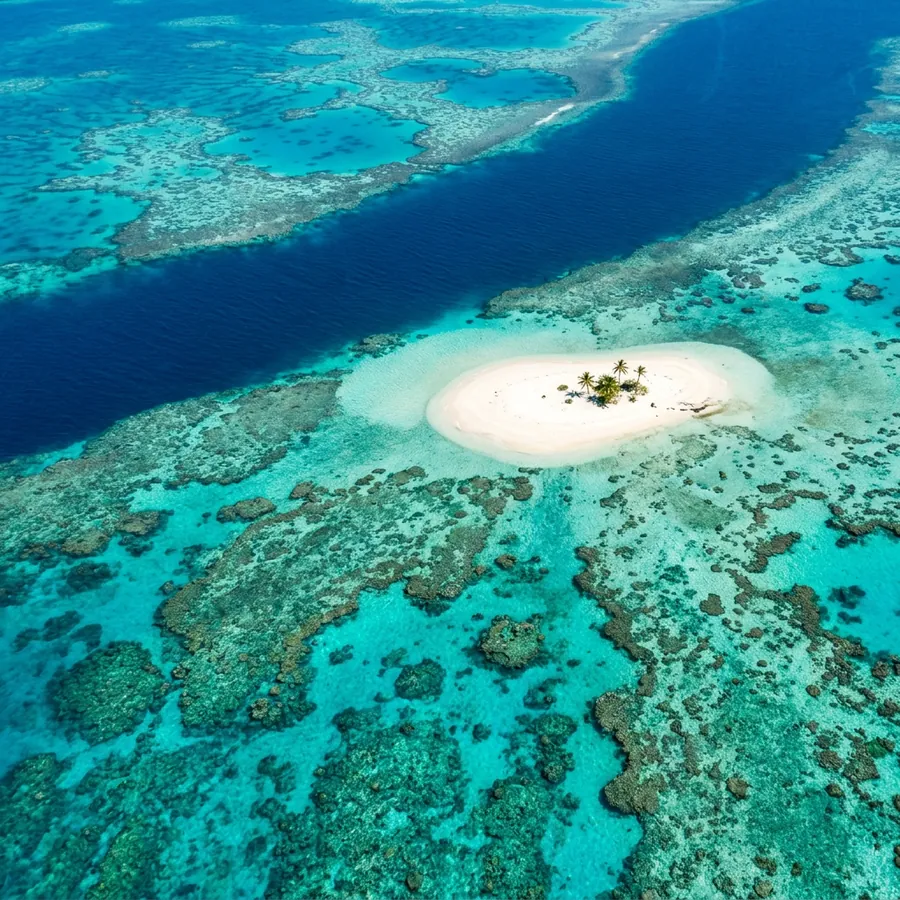 Grande Barrière de Corail